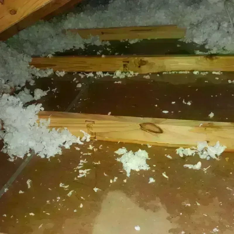 Attic Water Damage in Baker, LA