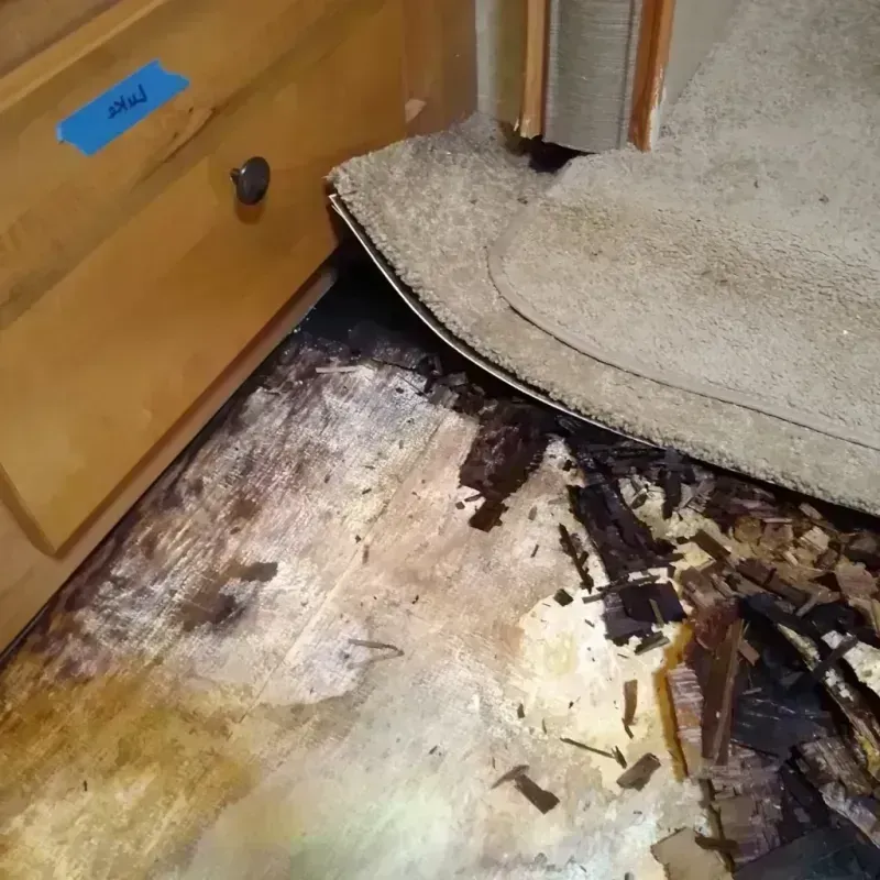 Wood Floor Water Damage in Baker, LA